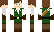 tux_fox Minecraft Skin