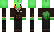 Treecko955 Minecraft Skin