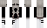 ans1ey Minecraft Skin