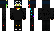 Landed_ Minecraft Skin