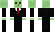 its Minecraft Skin