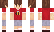 Andreobee Minecraft Skin