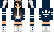 BubblezPenguin Minecraft Skin