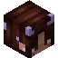 Sir_Survive player head preview