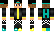 Nullify Minecraft Skin