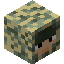 DinnerBone5008 player head preview