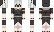 alongcameafinity Minecraft Skin