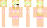 Bra Minecraft Skin