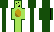 Duckshell Minecraft Skin