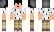 MoneyBag Minecraft Skin