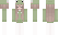 HFam1573 Minecraft Skin