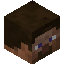 villager120 player head preview