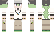 Shane Minecraft Skin