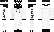 HamidTHEII Minecraft Skin