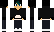 FlareShiro Minecraft Skin