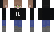 TopView Minecraft Skin