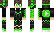 EndGreen2488 Minecraft Skin