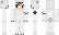 PolarWarrior Minecraft Skin
