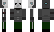 Apture Minecraft Skin