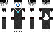 Wish Minecraft Skin