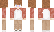 technojamins Minecraft Skin