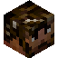 destructiveburn player head preview