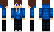 Palikka Minecraft Skin