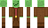 whynot Minecraft Skin