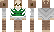 Erdmennchi Minecraft Skin