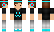 sirfitness Minecraft Skin