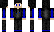 floppy_samDisk Minecraft Skin