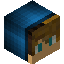 seat player head preview