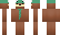 Roopsa Minecraft Skin