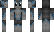 TerraQt Minecraft Skin