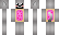 PC Minecraft Skin