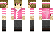 Grian Minecraft Skin