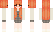 ivoryii Minecraft Skin