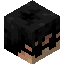 palion player head preview