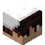 Ricebags player head preview