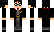 harrypotter Minecraft Skin