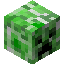Creeper player head preview