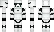 robbynes Minecraft Skin