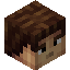 TylerGames player head preview