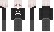 saiix Minecraft Skin