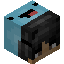 camer player head preview