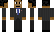 USA Minecraft Skin