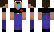 protekte Minecraft Skin