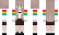 _flippity_ Minecraft Skin