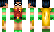 Robin Minecraft Skin