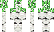 birch Minecraft Skin